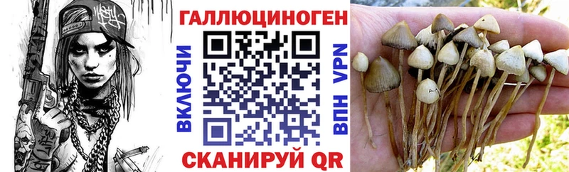 Псилоцибиновые грибы ЛСД  наркотики  Сим 